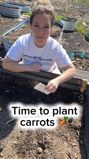 Plating carrots 🥕 zone 7 | Carrots