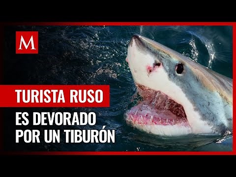Turista ruso es devorado por un tiburón en el Mar Rojo