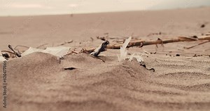 Trash in sand of desolate territory close-up, world after nuclear warfare