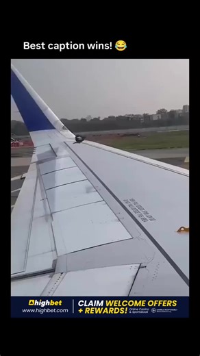 Multiverse ™🇺🇸 | The post shares a 61-second video of two birds casually perched on a JetBlue aircraft's wing during ground taxiing, inviting humorous... | Instagram