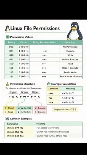Linux File Permissions Every Hacker Must Know 🔐