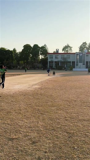 Stump Out Technique in Cricket Explained