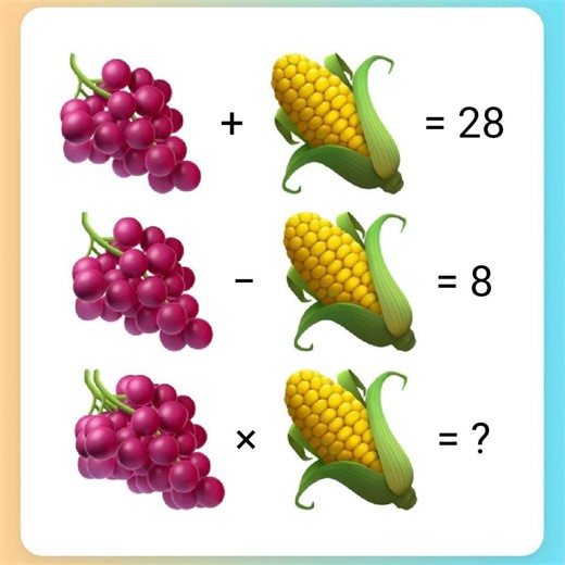 Test Your Brain 🧠 With Fruits & Vegetables Maths❤️😉✍️. | Maths And Science Grade 12 & 11 2025/26