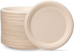 GUSTO 9 Inch Paper Plates Heavy Duty Compostable Plates, 125-Pack