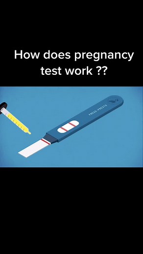 Interesting facts on TikTok