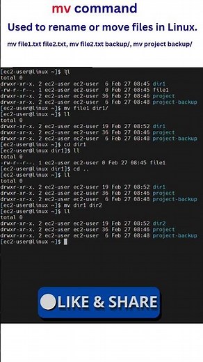 mv Command in Linux Explained | Move & Rename Files Easily #linux #shorts