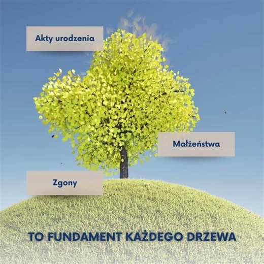 Jakie dokumenty rodzinne warto zachować? #drzewogenealogiczne #genealogia #historia