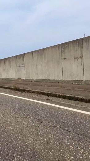 1928 INDIAN 101 SCOUT owner: Masaki Egawa @trophy1605 #rollermagazine | Roller Magazine