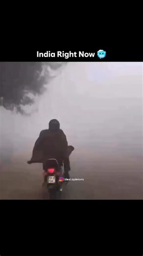 Desi.opinions | Rishi on Instagram: "在日本，研究人员正利用智能人行道将日常活动转化为清洁能源⚡。这些道路内嵌特殊的压电材料，可以从行人的脚步中收集动能。当人们行走、奔跑或跳跃时，路面会轻微变形，从而产生机械压力。压电晶体将这种压力转化为电能🔋。 这些能量可用于照亮路灯、为公共显示屏供电，甚至监测行人流量。这种技术不仅减少了能源浪费，还展示了未来城市的无限可能🌍。 在东京、京都等城市的试验区，人们的每一步都在为绿色地球贡献力量💚。科技让生活更环保，也让每一个脚步更有意义✨ #日本 #科技 #创新 #可持续 #绿色能源 未来城市 环保 知识 事实 推荐 你知道吗 技术 实验 热门"