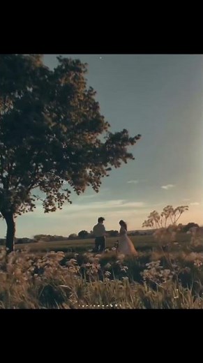 tere sang yara #okaramkhudaya #romanticsong #hindilyrics #lovestatus #aestheticvideo #viralvideo