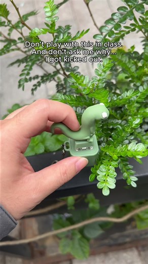 Stress Relief with Lizard Humor