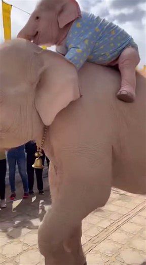 วิดีโอของ dreamcast2006 (@dreamcast2006) พร้อมเพลง เสียงต้นฉบับ - dreamcast2006