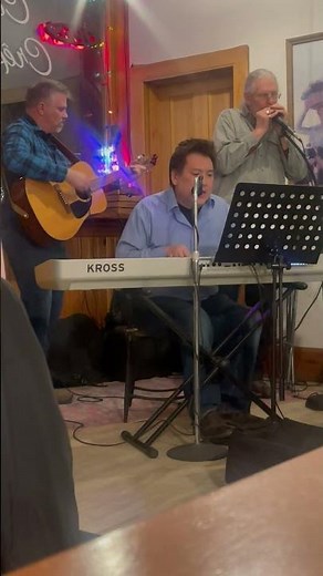 Bruce Springsteen cover - The River 🎶