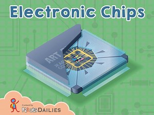 Electronic Chips
