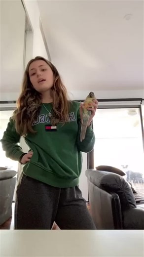 Are Conure Parrots Good Pets? | Having A Pet Bird Videos