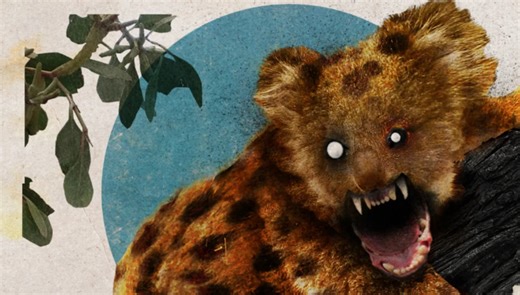 Scottish reporter tricked into wearing protective gear for 'drop bears'