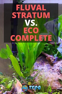 Fluval Stratum Vs Eco-Complete - Which Is Right For Your Tank?
