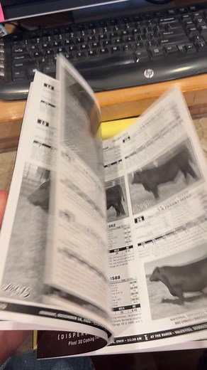 8.2K views · 47 reactions | Catalogs have arrived! Be sure to keep an eye on your mailbox as they should start showing up soon. Give us a call anytime to discuss the offering | TK Angus | Facebook