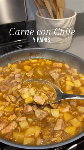My family’s way of making carne con chile 🍖🌶️ Simple, spicy, and delicious! 😮‍💨😋 #carneconchile #carneconpapas #mealideas #recetas #chile