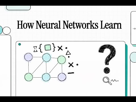 How Neural Networks Actually Learn