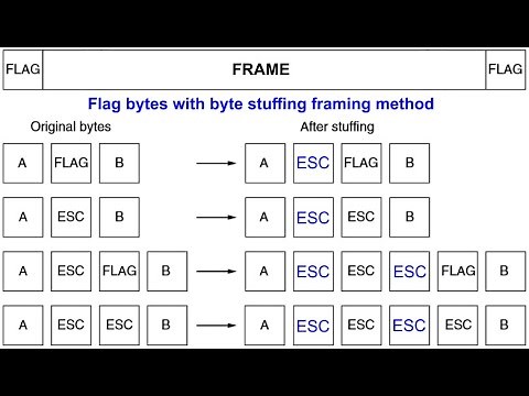 Flag bytes with byte stuffing framing method in Data Link Layer | EasyExamNotes.com | Hindi
