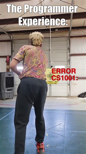 The Programmer Experiences