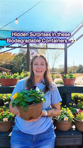 40 reactions | Ask Megan about these Biodegradable Container Gardens with Hidden Bulbs inside! | Dothan Nurseries Greenhouse, Gardens, and Gifts | Facebook