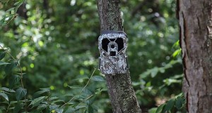 Trail Camera Review: Exodus Lift Mark II