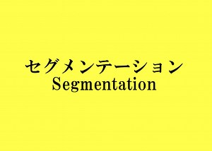 セグメンテーションの意味や地理的・人口・心理・行動の４つの変数について｜仕事以上に子育てがしたい