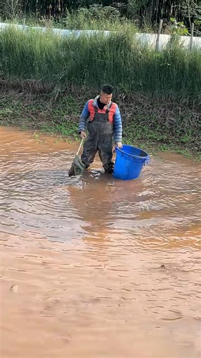 2K views | Fish catching technique Part - 206 #NFV #CATCHING #TIME | Natural fishing video | Facebook