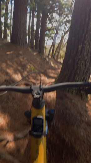 Don't 👀 now. You just had your best run yet on that flowly trail. Good thing Edge MTB is tracking all your stats, so you can relive it later. | Garmin Cycling