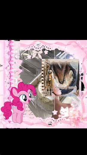 The Pet Sprite Debate: A Rant on Using Animals in Characters