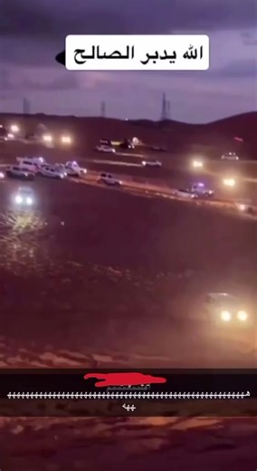 فيديوهات أنشأها scans_16 (@scans_16) باستخدام الصوت الأصلي - scans_16