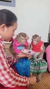 Mommy hugging Lyly 💚💚 | US Monkey Gorilla