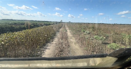 New solar farm will be built on Chesapeake farm next year with mixed reviews from residents