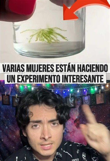 Un experimento viral está despertando teorías sobre la alquimia y un antiguo libro que nadie ha logrado descifrar por completo: el Manuscrito Voynich. 👀 Algunas personas encontraron similitudes entre las extrañas formaciones que aparecen en los frascos y las plantas misteriosas ilustradas en sus páginas. ¿Simple coincidencia, algo natural o una conexión que todavía no comprendemos? #ManuscritoVoynich #Misterio #Alquimia #Kevinos #noticiastiktok