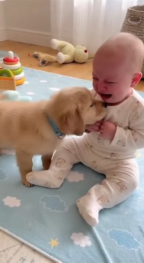 103K views · 3K reactions | Puppy Hugs Crying Baby ❤️ The Sweetest...