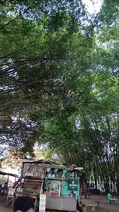 🥰🥰🥰😍 | Flex Reflex