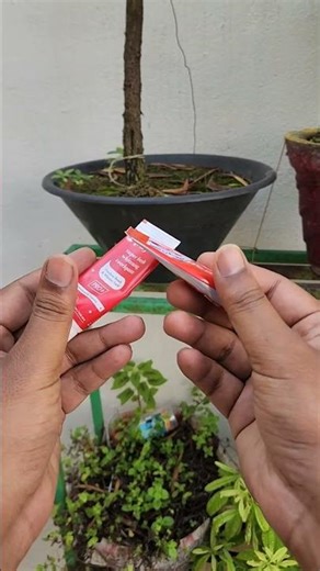 The color on your toothpaste actually MEANS something…