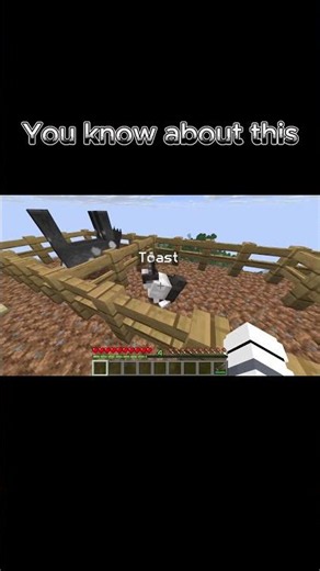 Secret Name Tag Trick Changes Mob Skin! 🤯 #minecraft