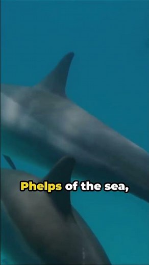 Sloth vs Dolphin The Breath Holding Battle