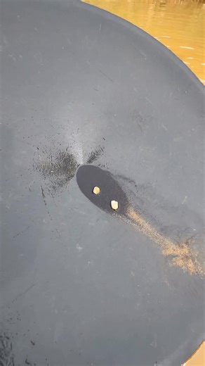 rare discovery, finding gold in dinosaur egg fossils | Amrin Prospecting