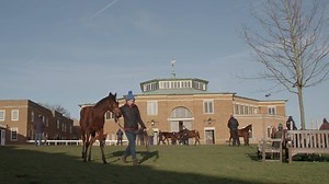 2.4K views · 42 reactions | The December Foal Sale concluded with a record turnover and the highest price achieved by a filly foal anywhere in the world this year. | Tattersalls | Facebook