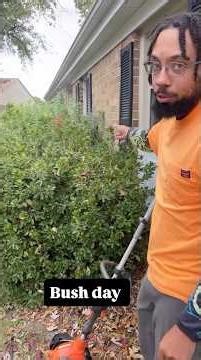 No Mow but Trimming Bushes??