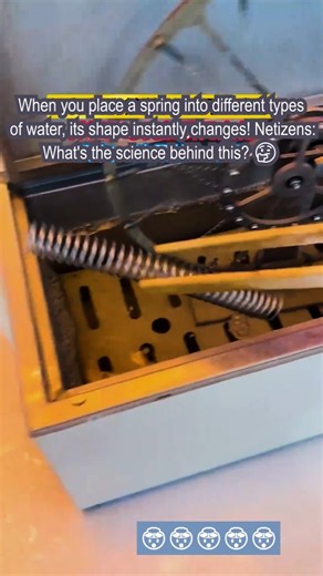 Charliepin on Instagram: "Ever seen a spring change shape in water? 💧🤯 Watch how it morphs in different liquids! What's the science behind this? 🧐 Drop your theories below! #ScienceFun #SpringMagic #PhysicsIsCool #MindBlown #Liquid"