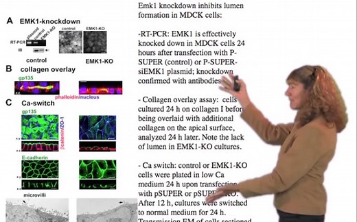 斯坦福大学博士教你如何制作一份学术PPT并进行科学有效地讲述