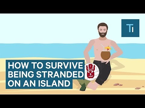 How To Survive If You Get Stranded On An Island