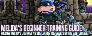 Neopets Battledome Guide