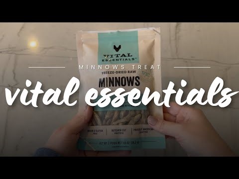 Vital Essentials Minnows Freeze Dried Dog Treats