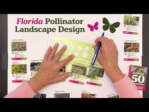 Pollinator Landscape Design from Start to Finish